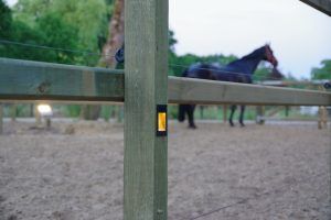 Paardenbak verlichting