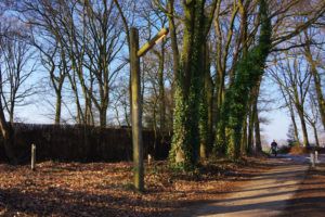 houten parkeerplaatsverlichting
