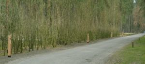 campingweg lamp