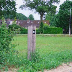 eiken hout