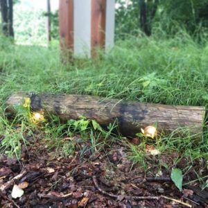 onopvallende buitenverlichting