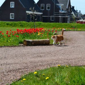 duurzaam woonwijk