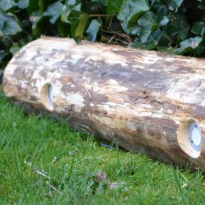 buiten led