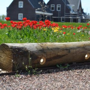 kastanjehouten buitenverlichting, een boomstronk met verlichting