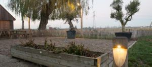 terras lamp