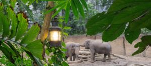 pretpark verlichting