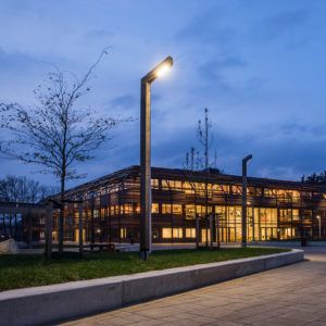 van Vliet kastanjehout