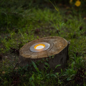 Grondlamp rond kastanjehout in het gras